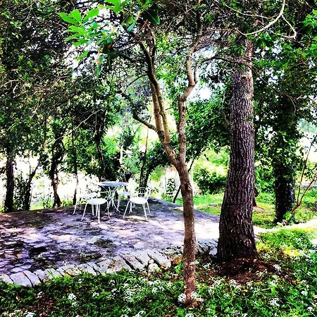 Tatil Evi Angolo Di Puglia *